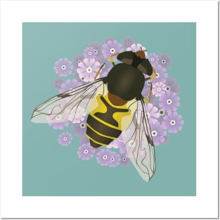 A common drone fly on purple flowers Posters and Art